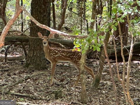 Photo of 0 Oak Trace E, Jasper, GA 30143 (MLS # 10572986)