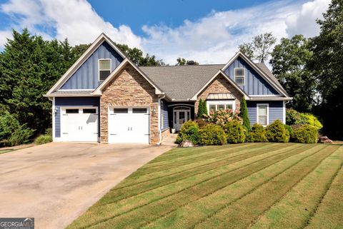 166 Towerview CIR Mount Airy GA 30563