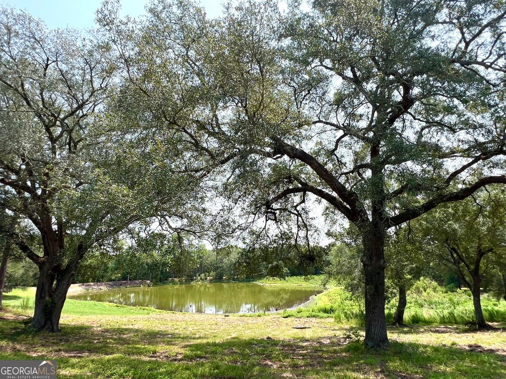 Photo of 45 Nease Road, Glennville, GA 30427 (MLS # 10813775)