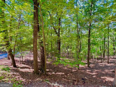 1481 Briar VIS Jasper GA 30143