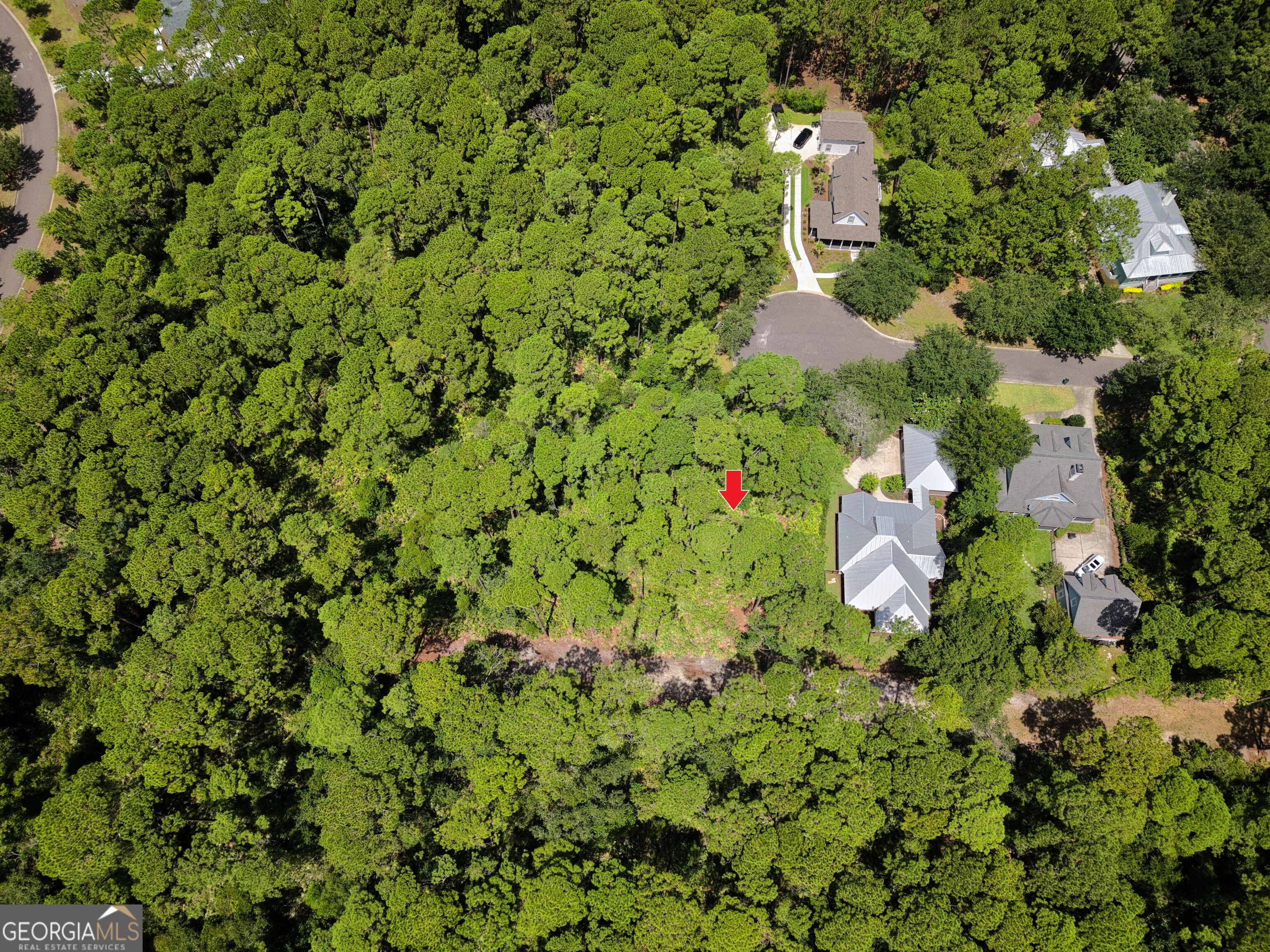109 Spartina Court