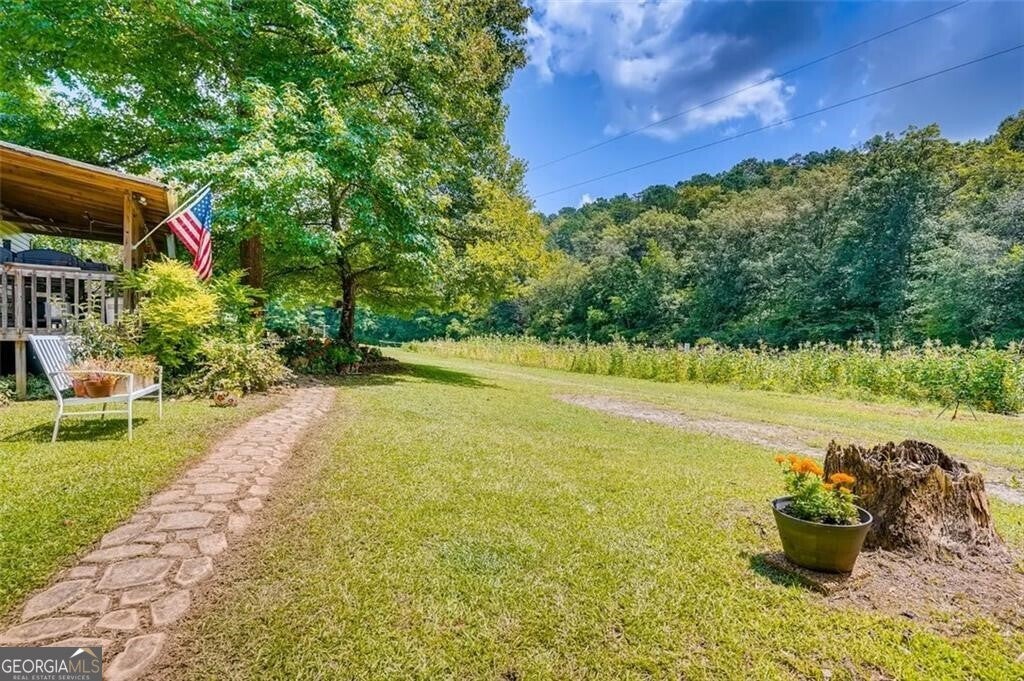 3397 Knox Bridge HWY