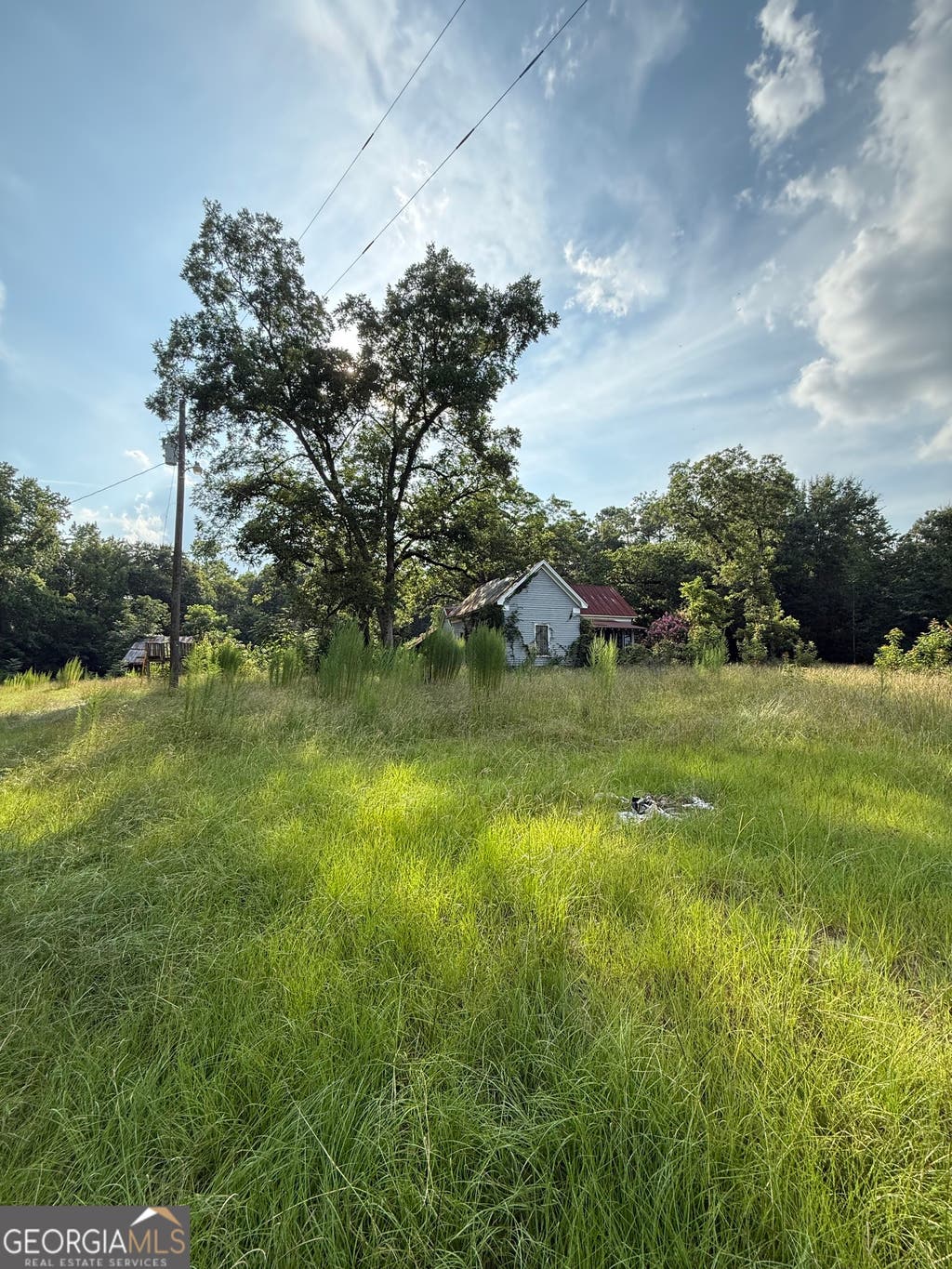 Photo of 1007 Pleasant Grove Road, Sandersville, GA 31082 (MLS # 10814026)