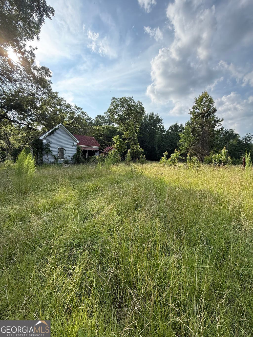 Photo of 1007 Pleasant Grove Road, Sandersville, GA 31082 (MLS # 10814026)