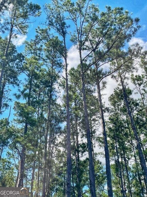 Photo of 0 Incachee Road, Waverly, GA 31565 (MLS # 10580606)