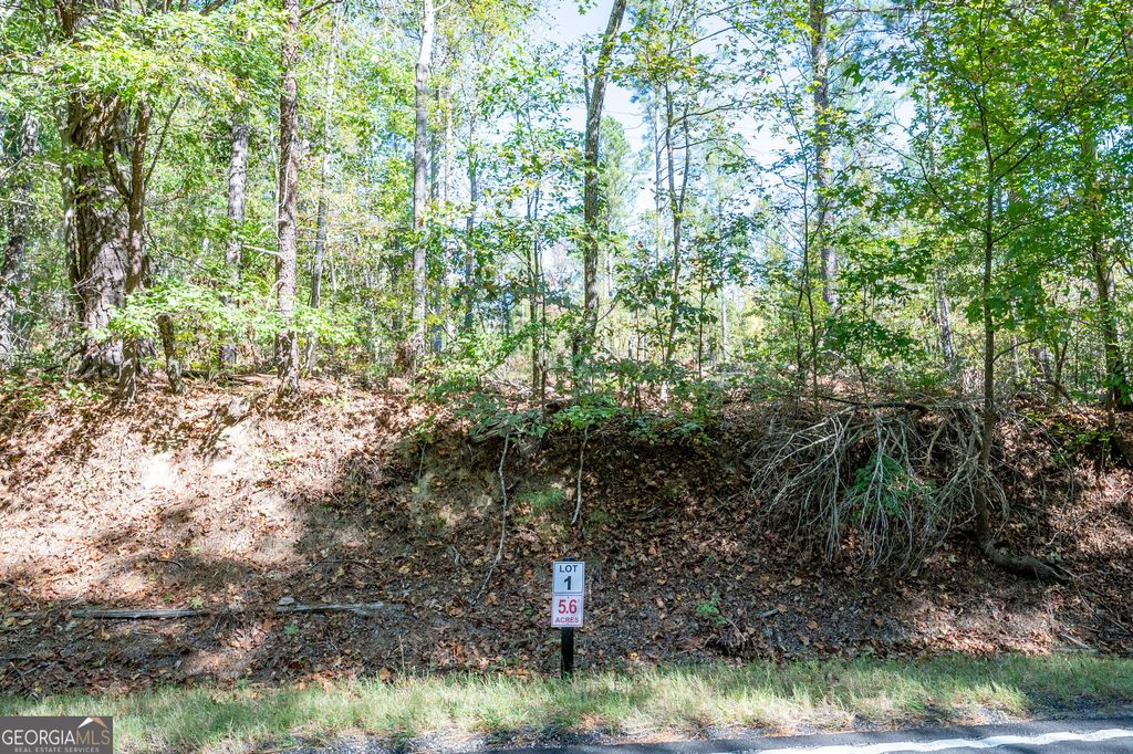 Photo of 3785 HWY 140 NE, Rydal, GA 30171 (MLS # 10632082)