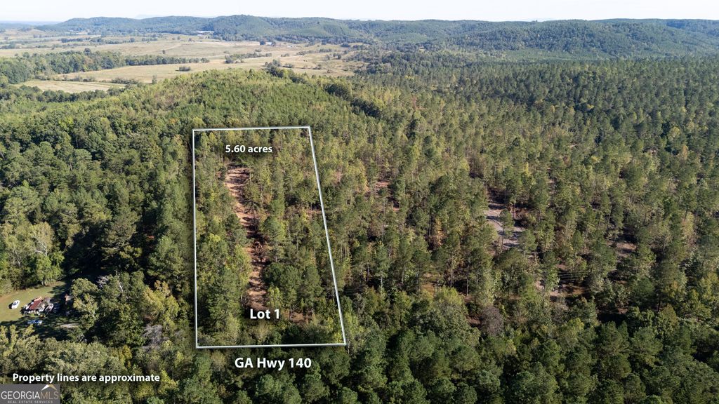 Photo of 3785 HWY 140 NE, Rydal, GA 30171 (MLS # 10632082)