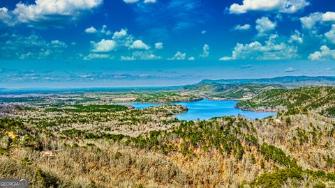 Photo of 780 Nettle Lane, Ranger, GA 30734 (MLS # 10359886)