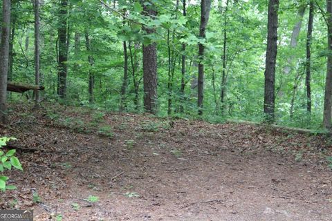 49 Lake Top DR SE Cartersville GA 30121