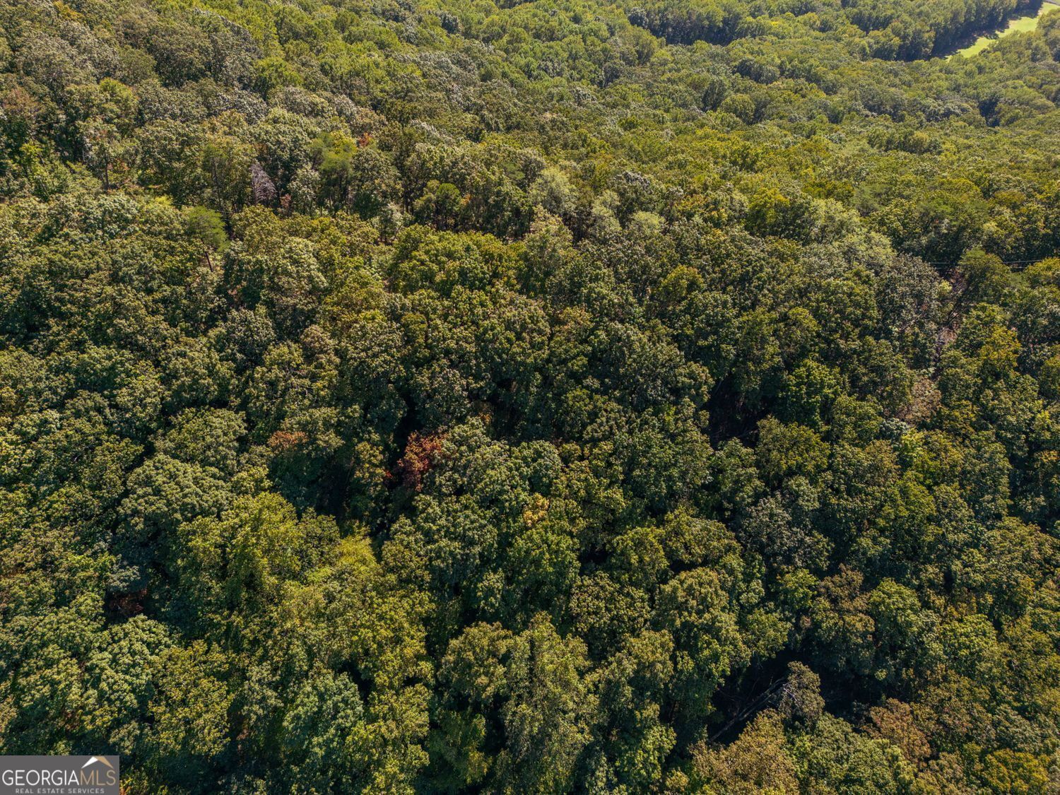 0 Shadowick Mountain RD