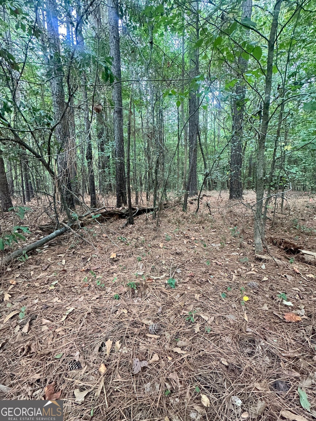 Photo of 1521 Cordele Road, Bowman, GA 30624 (MLS # 10849982)