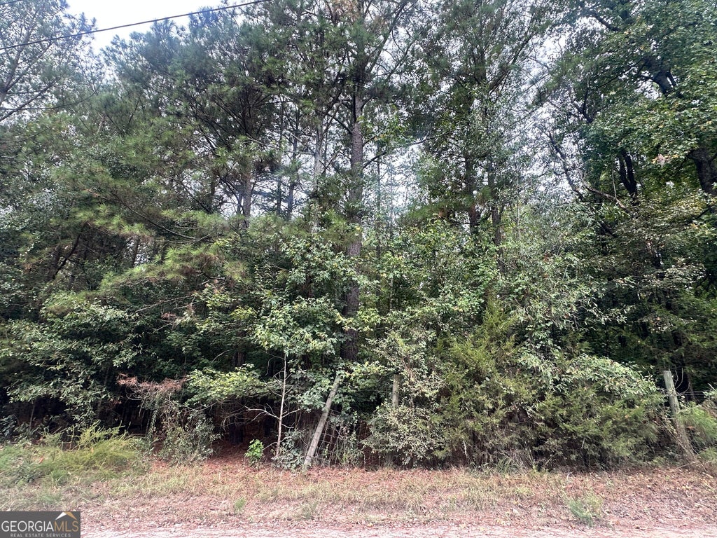 Photo of 1521 Cordele Road, Bowman, GA 30624 (MLS # 10849982)