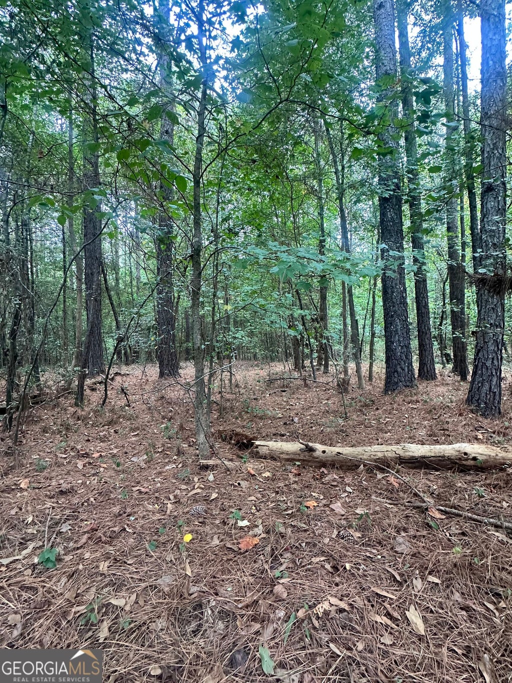 Photo of 1521 Cordele Road, Bowman, GA 30624 (MLS # 10849982)