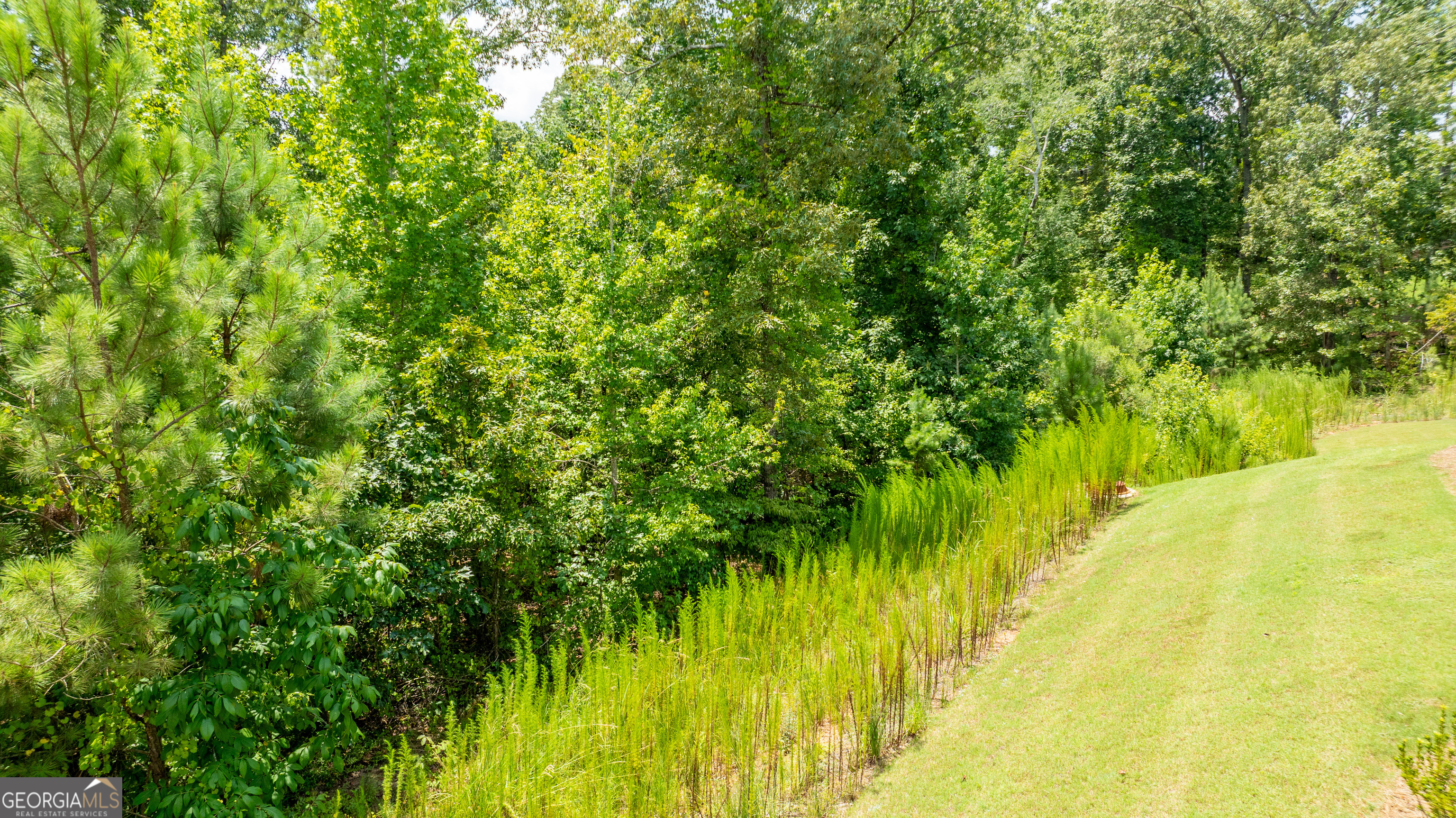 Northshore at Lake Redwine - Residential