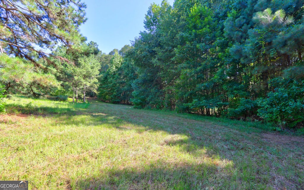 Photo of 0 New Hope Church Road, loganville, GA 30052 (MLS # 10837416)
