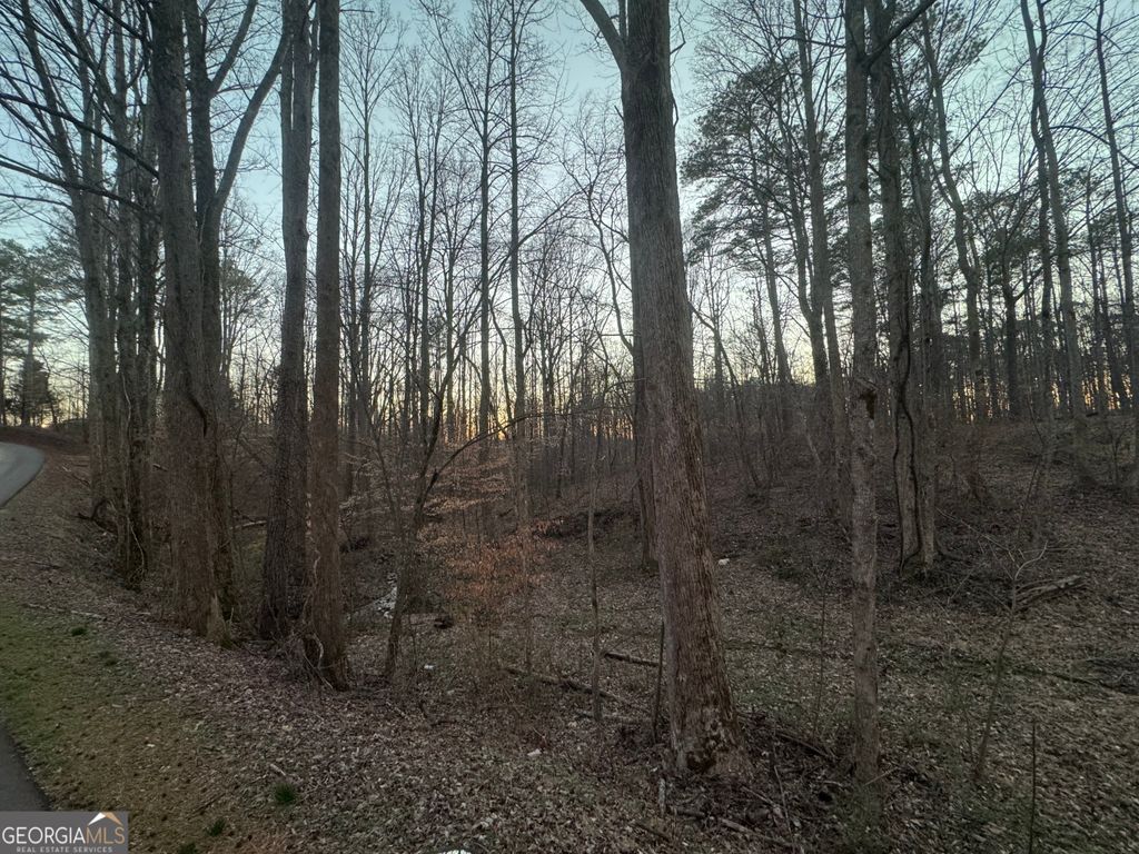 Photo of 369 Thompson Lane, Jasper, GA 30143 (MLS # 10700490)