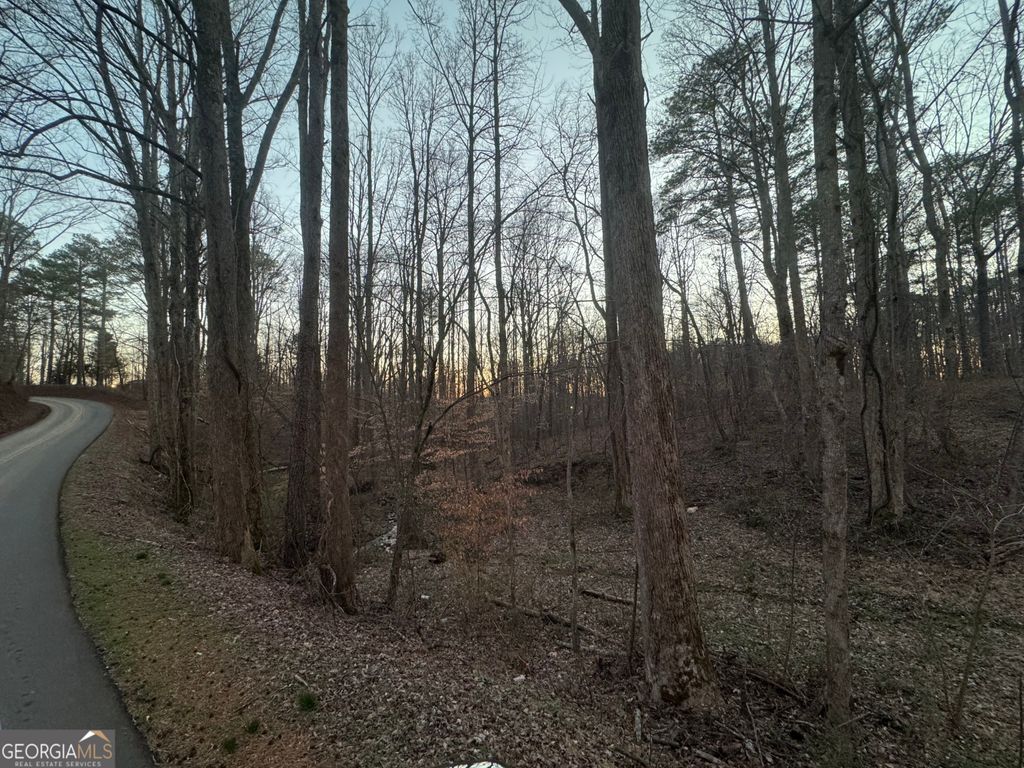 Photo of 369 Thompson Lane, Jasper, GA 30143 (MLS # 10700490)