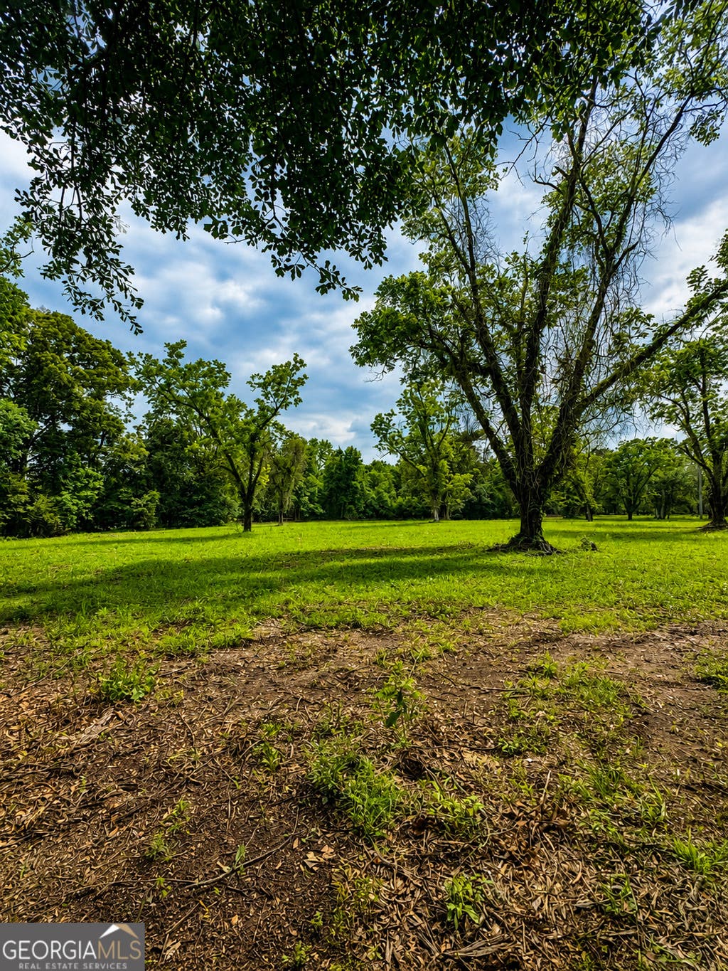 Photo of 0 Salem Road #3, Pine Mountain, GA 31822 (MLS # 10781599)