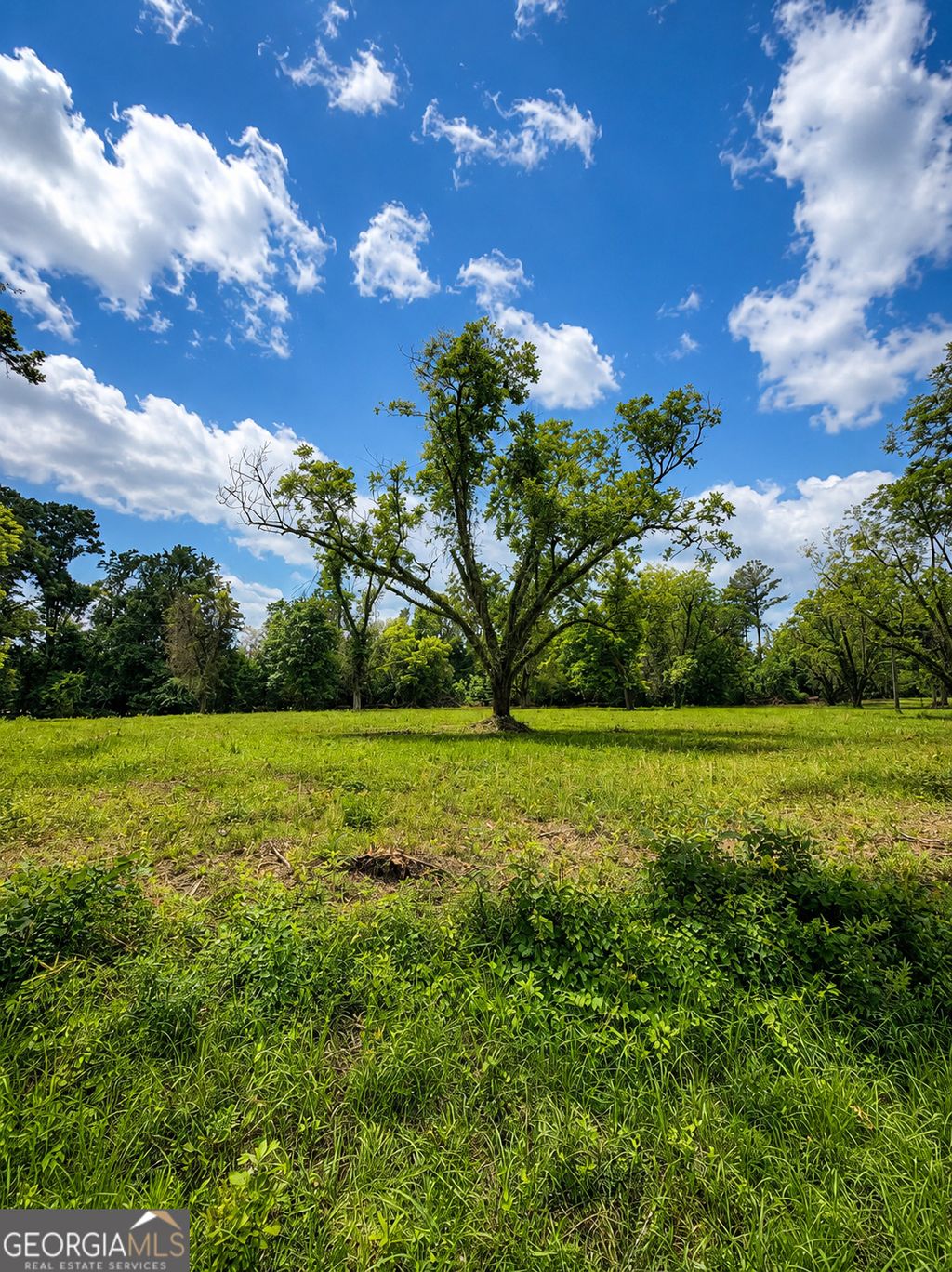 Photo of 0 Salem Road #3, Pine Mountain, GA 31822 (MLS # 10781599)