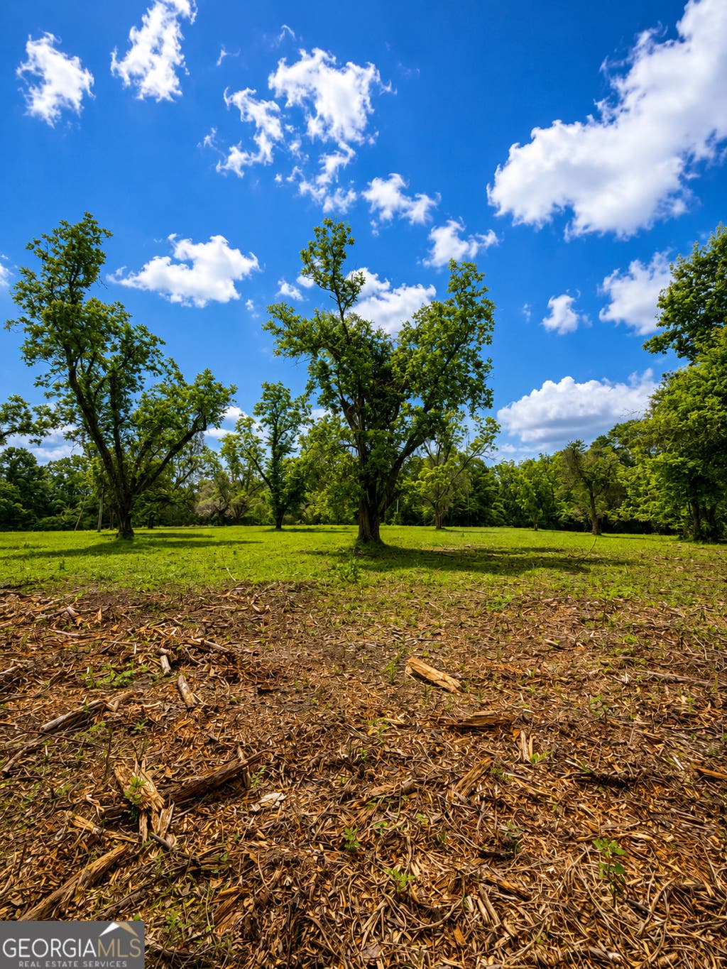 Photo of 0 Salem Road #3, Pine Mountain, GA 31822 (MLS # 10781599)