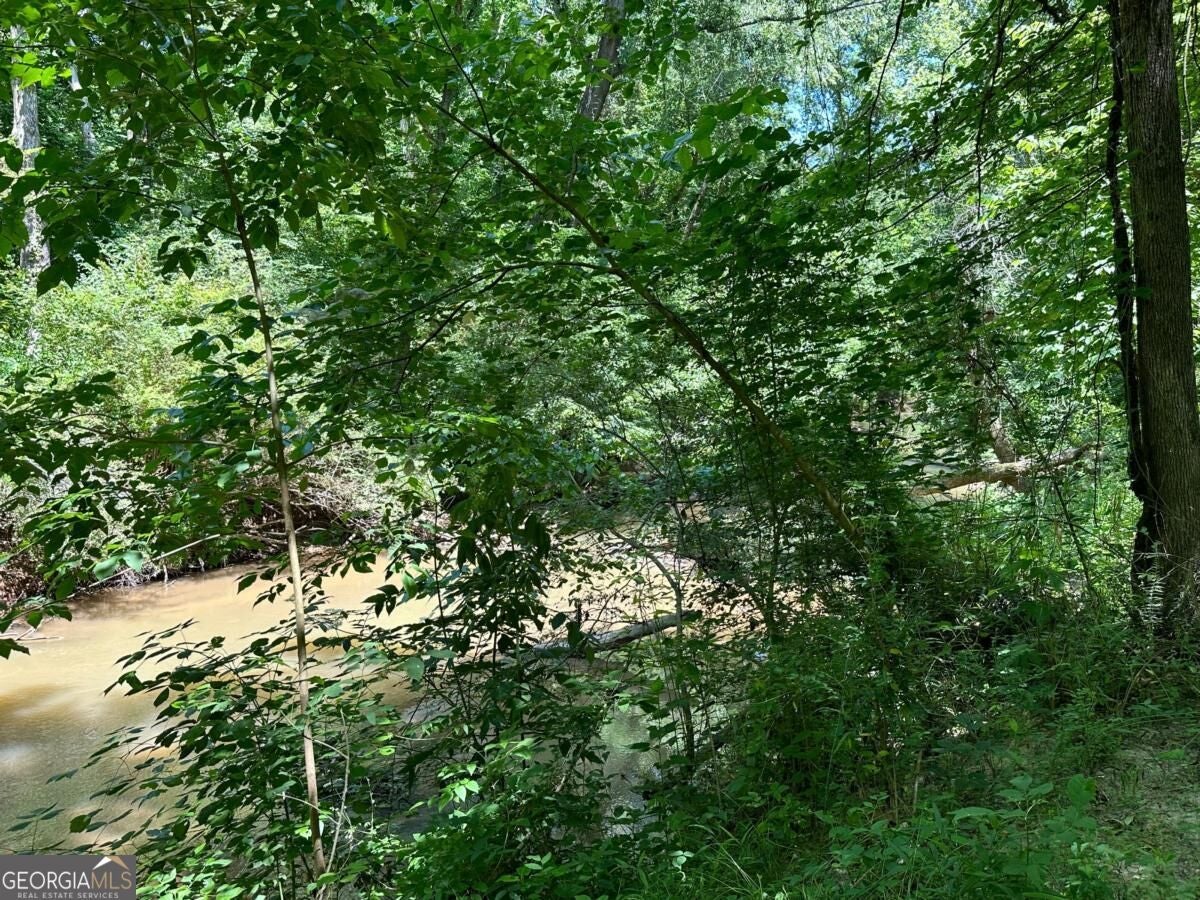 115 Mary LN