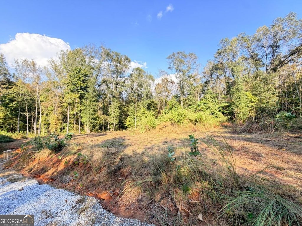 Photo of 115 Mary Lane, Maysville, GA 30558 (MLS # 10874494)