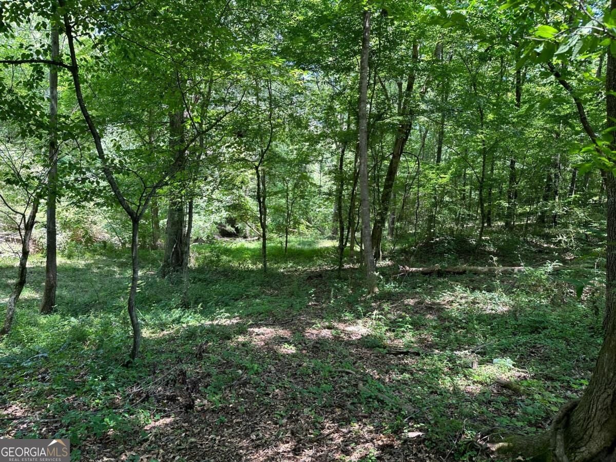 115 Mary LN