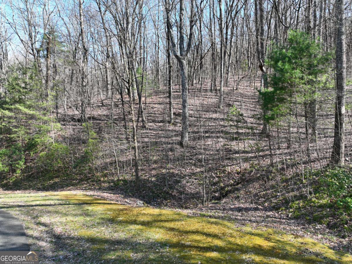 4.3 Acre Lot in luxury gated mountain community! Seasonal close mountain views. This upsloping lot is 4.3 acres! Big lot with a couple of potential building spots. Nice access point from far left and far right of this lot. The middle of the lot rises perfectly to immediately give you privacy. If you build high enough on the backside of this lot to rise, you might be able to capture a long range view too! Adjacent lot are available for sale too! Check out the topo map! You'll love the serenity of Georgian Highlands and the connection to nature and wildlife valued by this community. Okay to buy now and build later. Electric, phone, cable, and high speed internet at road. Close to orchards, wineries, and hiking. Approx 20-25 minutes to Jasper or Ellijay. Gated, HOA, 2000 min, no rentals, all buyers must be with an agent per HOA. Terrain parcel line photos are an approximation only.