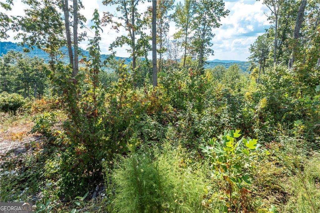 Photo of 279 Highgrove Drive, Talking Rock, GA 30175 (MLS # 10841167)