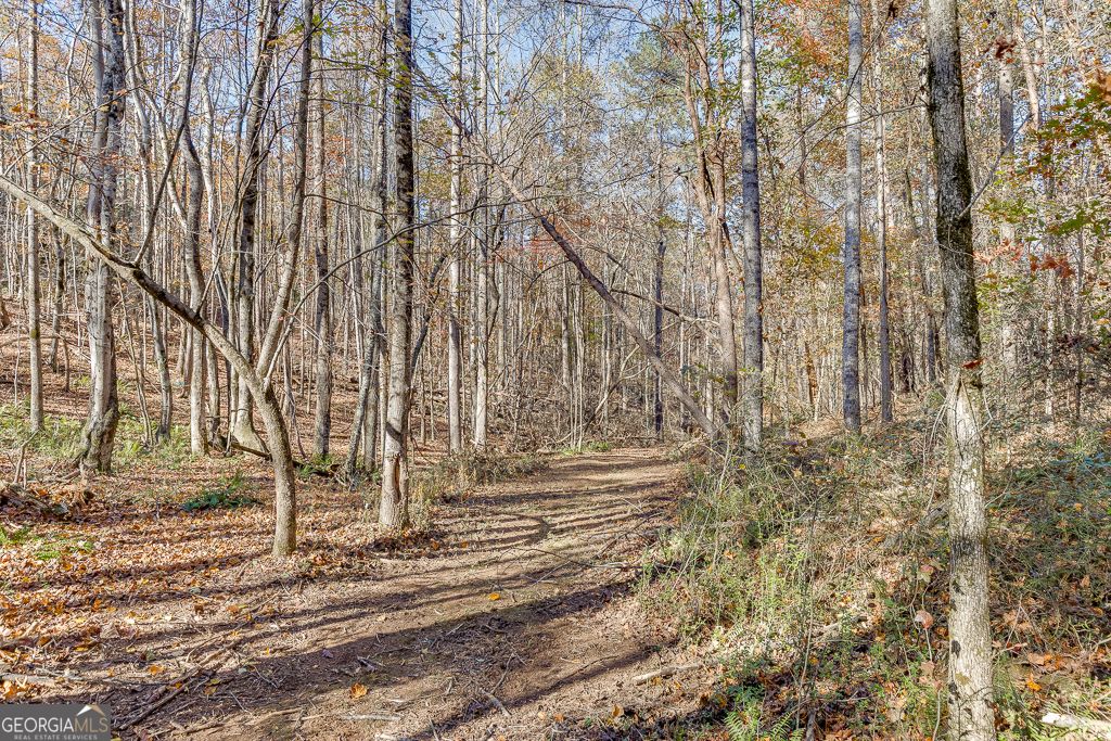 Photo of 6360 Nix Road, Dawsonville, GA 30534 (MLS # 10679277)