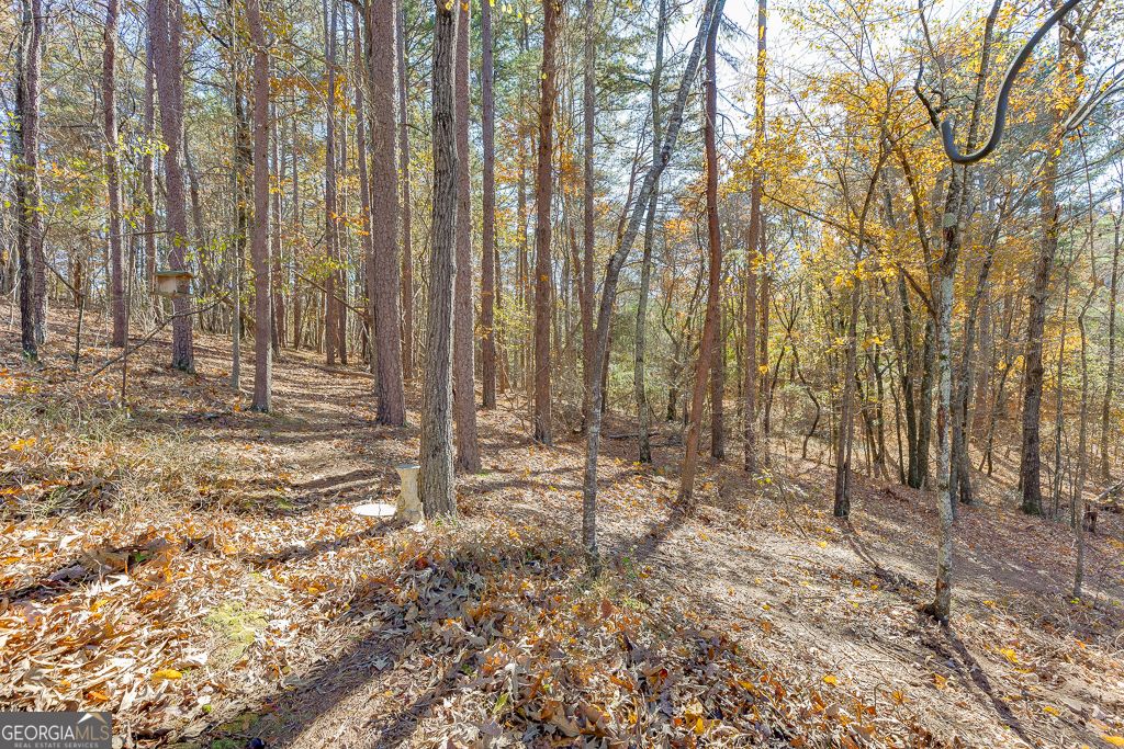 Photo of 6360 Nix Road, Dawsonville, GA 30534 (MLS # 10679277)