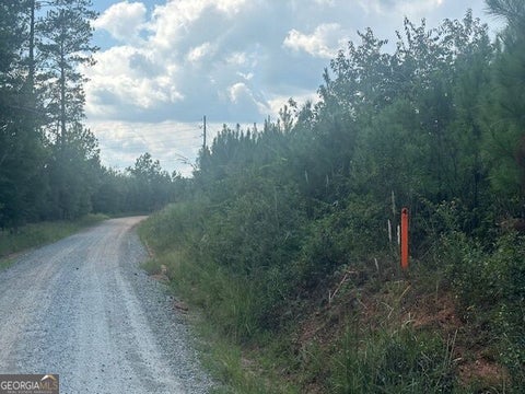 Photo of 0 Cook Road #TRACT 4, Monticello, GA 31064 (MLS # 10848922)
