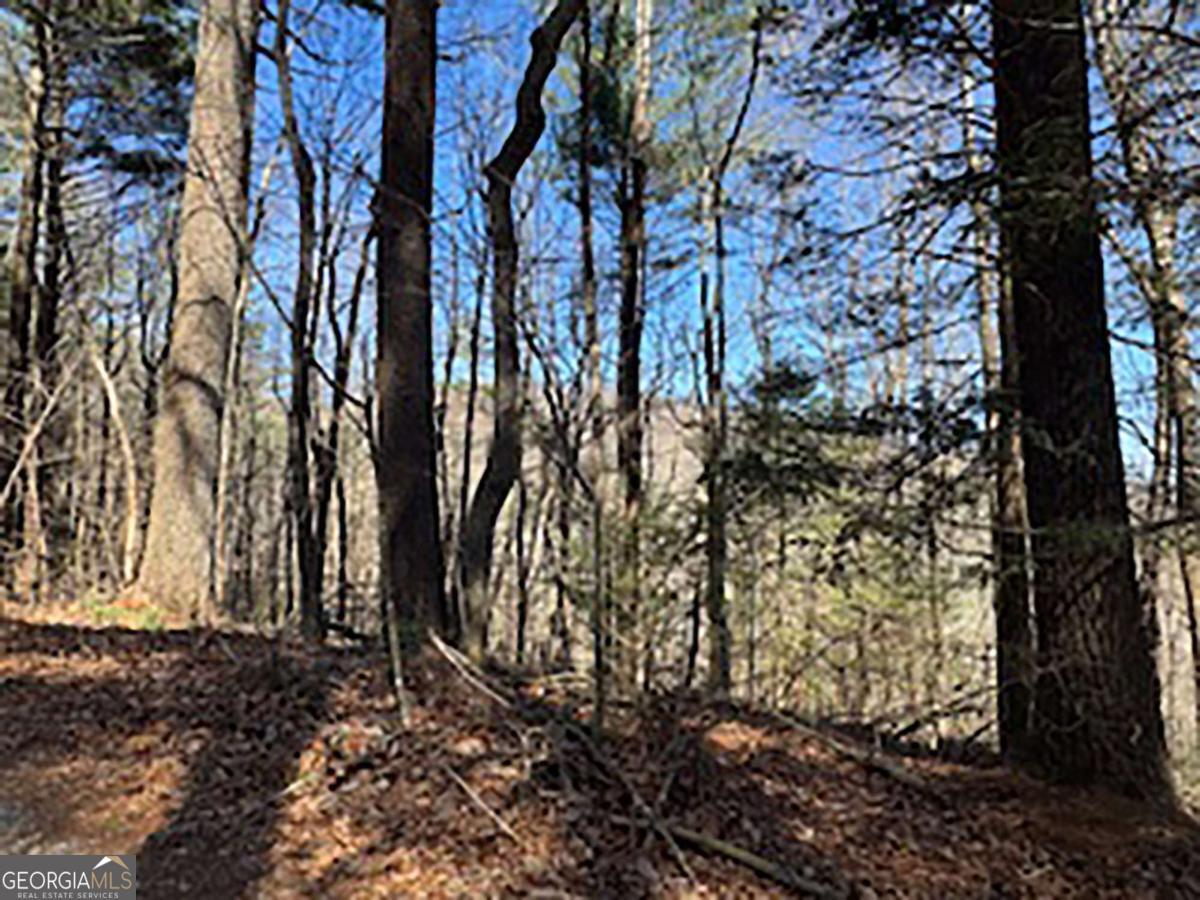 LOT 14 Butler Creek RD