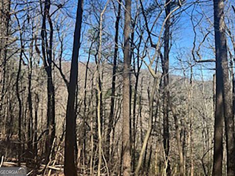 Photo of 14 Butler Creek Road, Cherry Log, GA 30552 (MLS # 10713938)