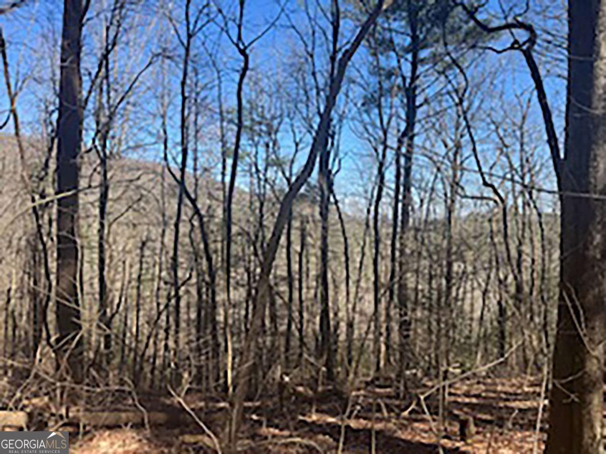 LOT 14 Butler Creek RD