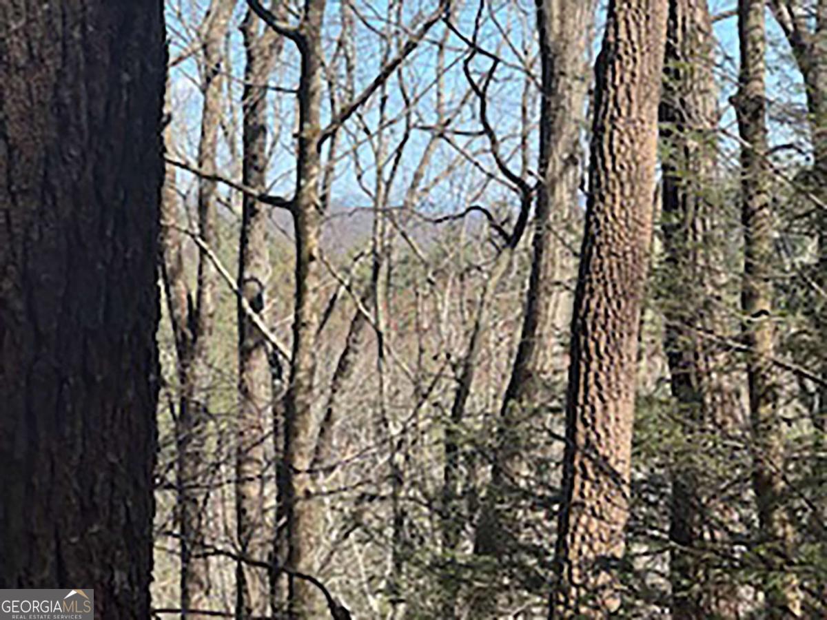 LOT 14 Butler Creek RD