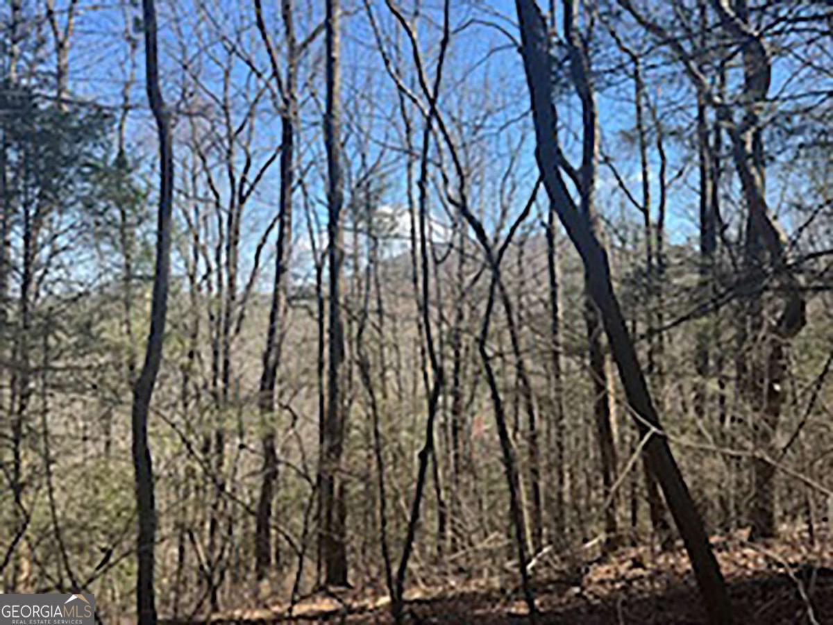 LOT 14 Butler Creek RD