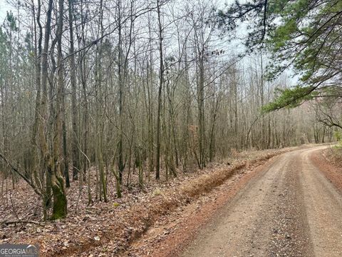 0 county road 670 ranburne AL 36273