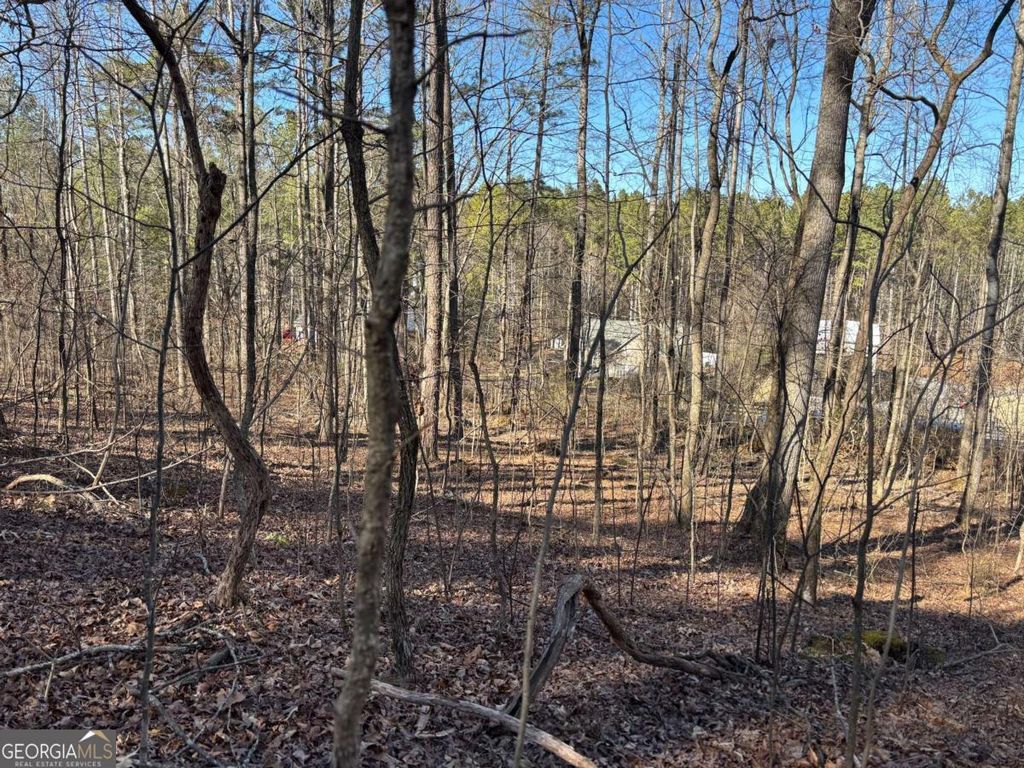 Photo of 0 Gardner Springs Road, Adairsville, GA 30103 (MLS # 10688483)