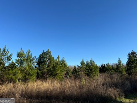 003 Sealy Wells RD Gordon AL 36343