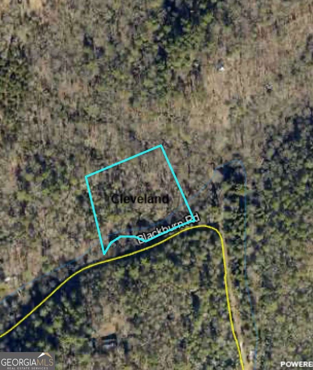 Photo of 0 Blackburn Road, Cleveland, GA 30528 (MLS # 10742841)