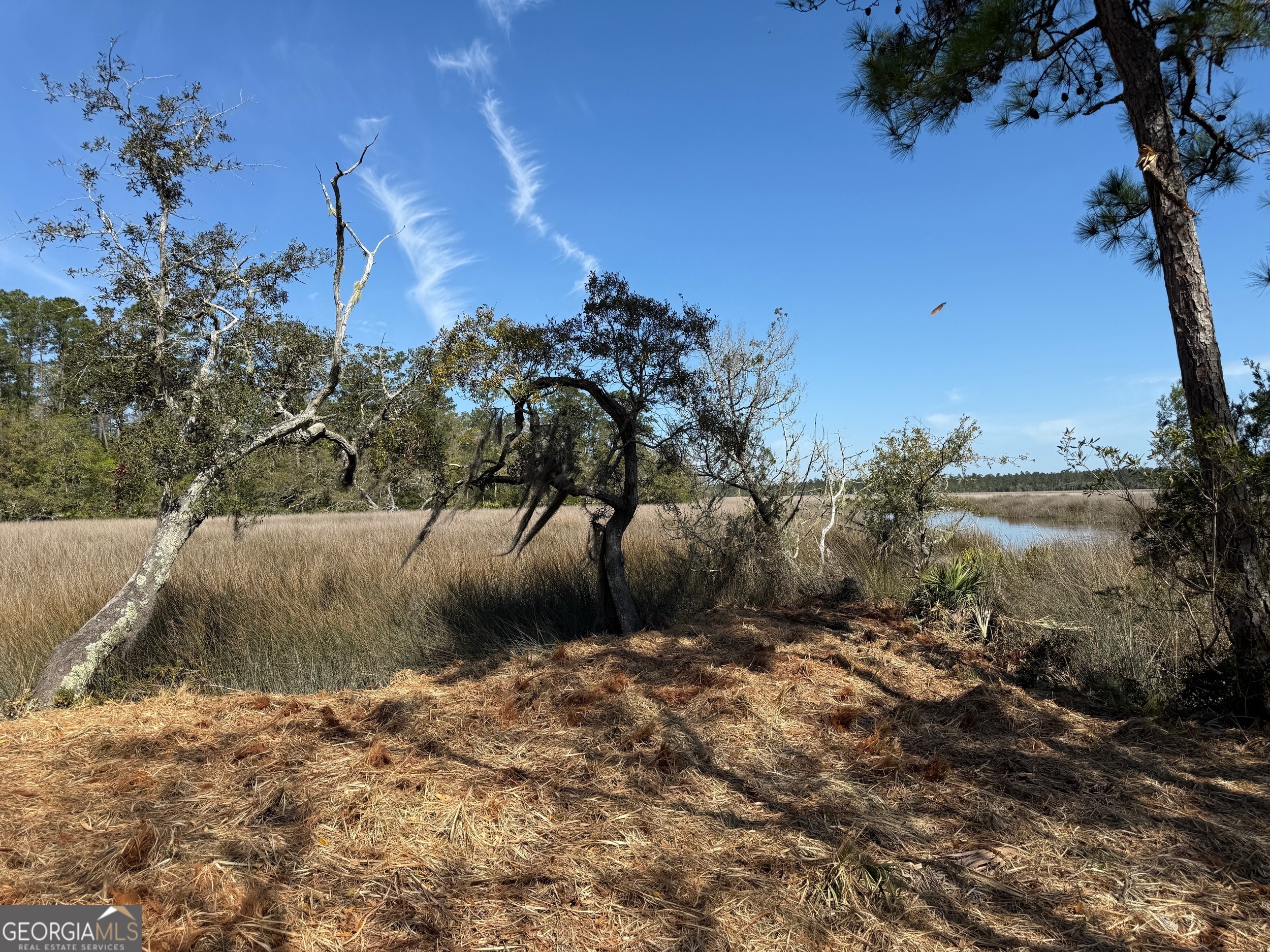 0 US Highway 17, Sanderling TRCE