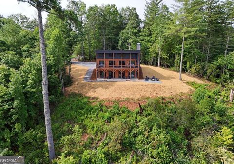 A home in Mineral Bluff