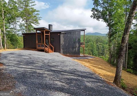 A home in Mineral Bluff