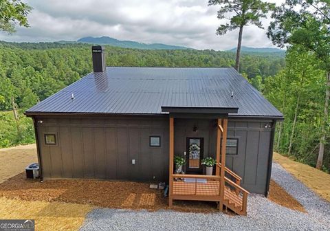 A home in Mineral Bluff