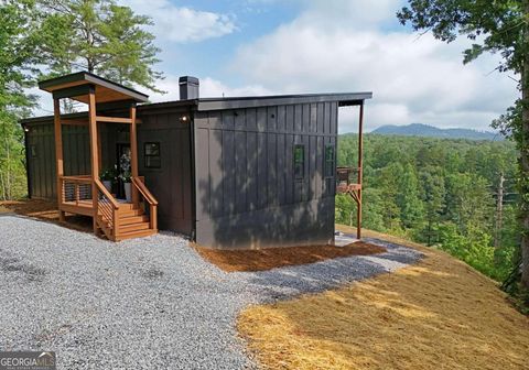 A home in Mineral Bluff