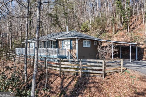 1131 Joe Davis RD Tiger GA 30576