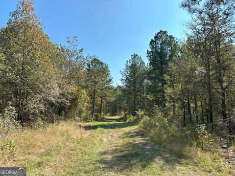 50 HEARTHSTONE Drive Carlton GA 30627