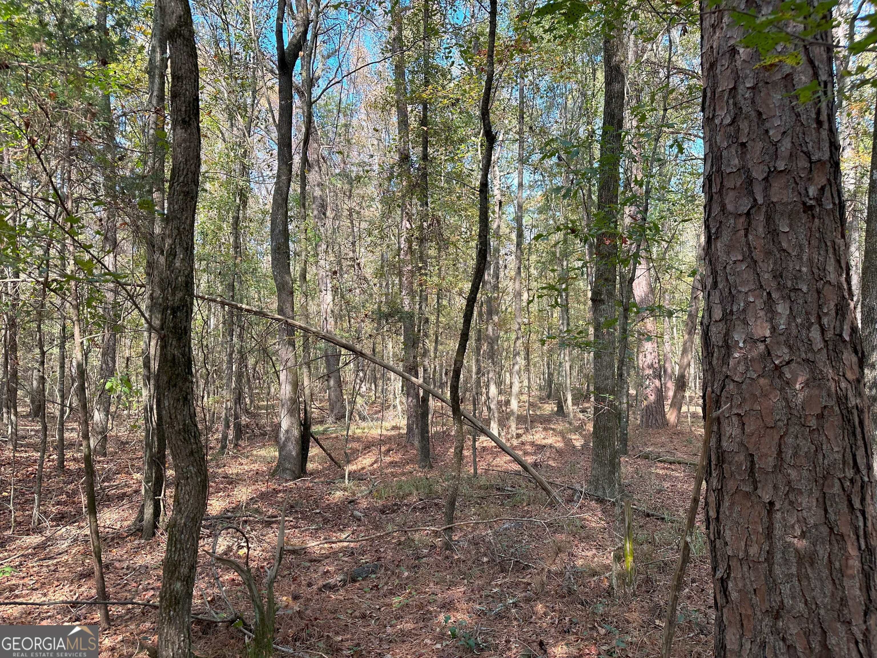 50 HEARTHSTONE Drive