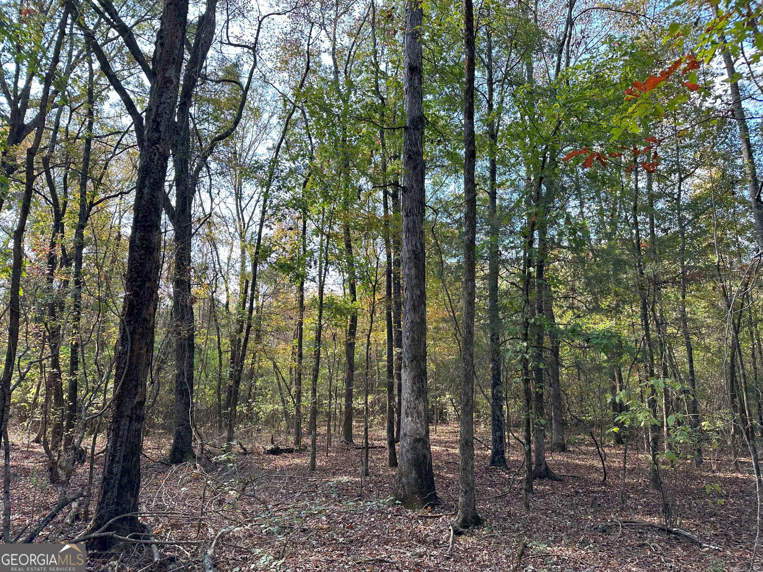 50 HEARTHSTONE Drive